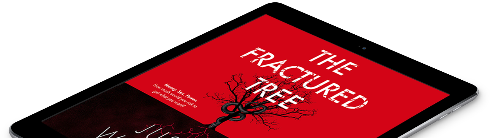 Available on Kindle and iPad
